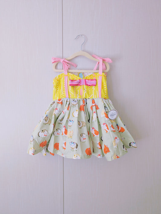 Hamster kids dress size (2T/3)